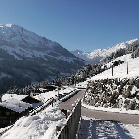 Holiday Flat Schoeser, Fuegen Fugenberg Bagian luar foto
